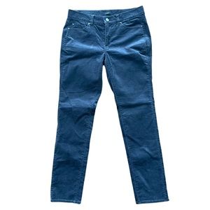 Ann Taylor Grey Velour Skinny Modern Fit Pants